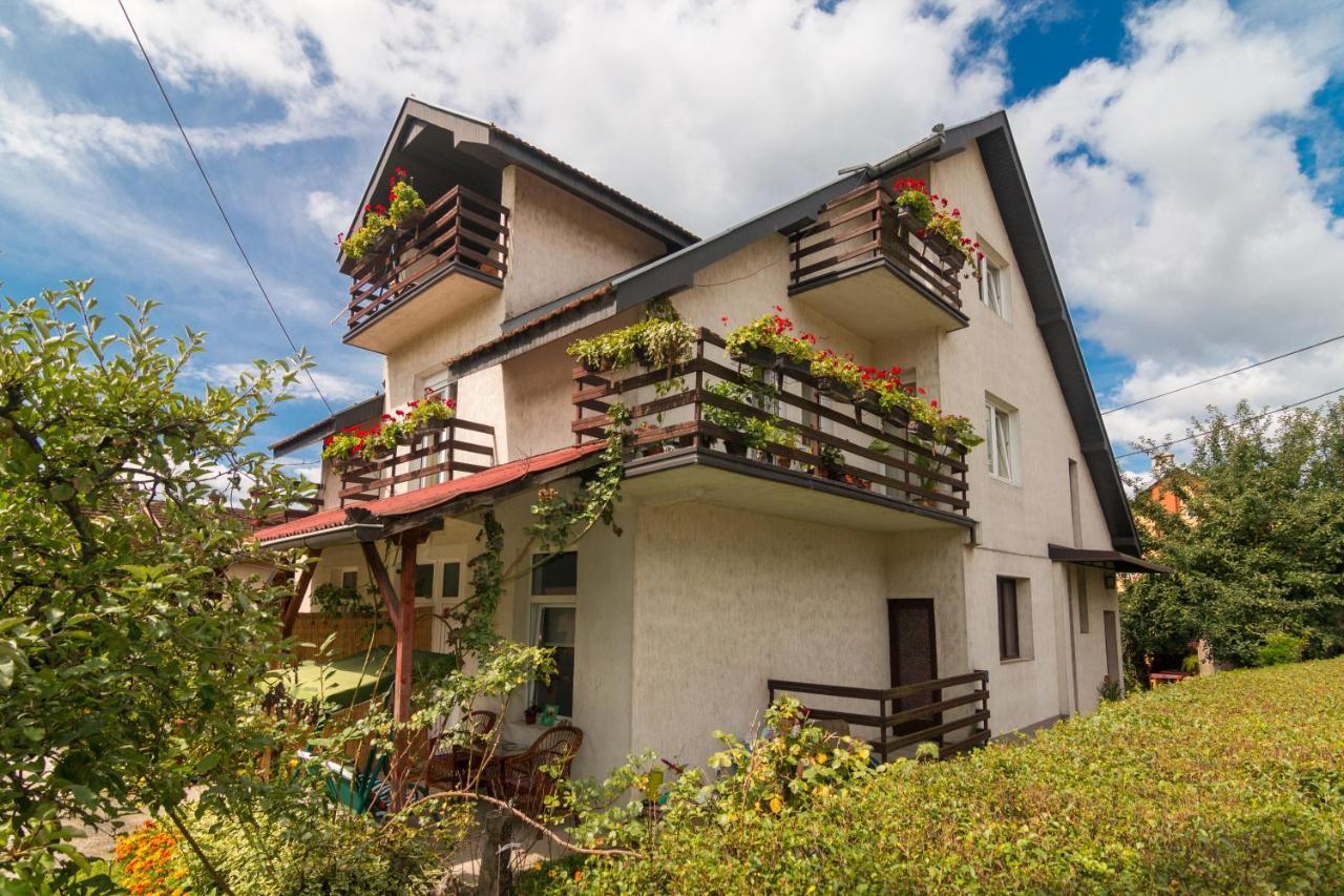 Hotel Drina - Bajina Basta Exterior foto