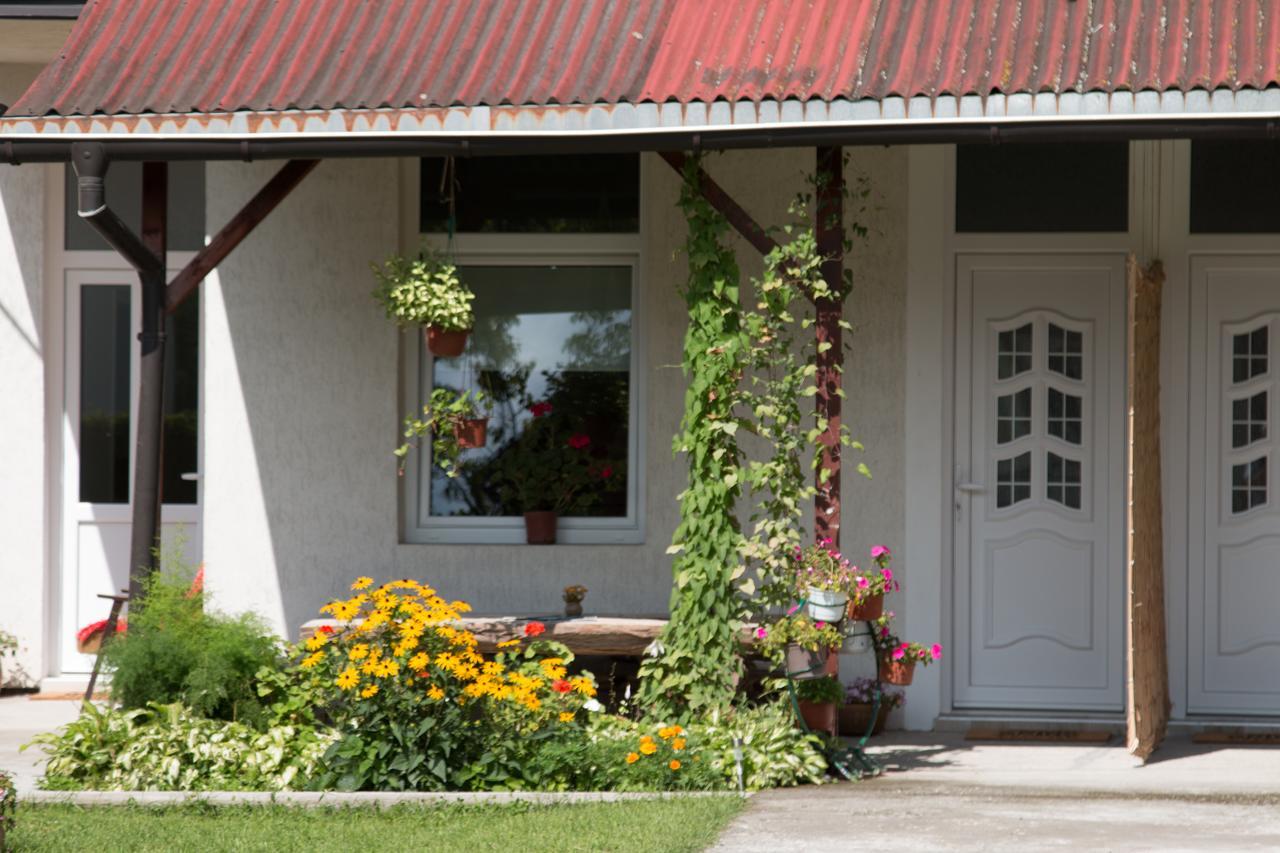 Hotel Drina - Bajina Basta Exterior foto